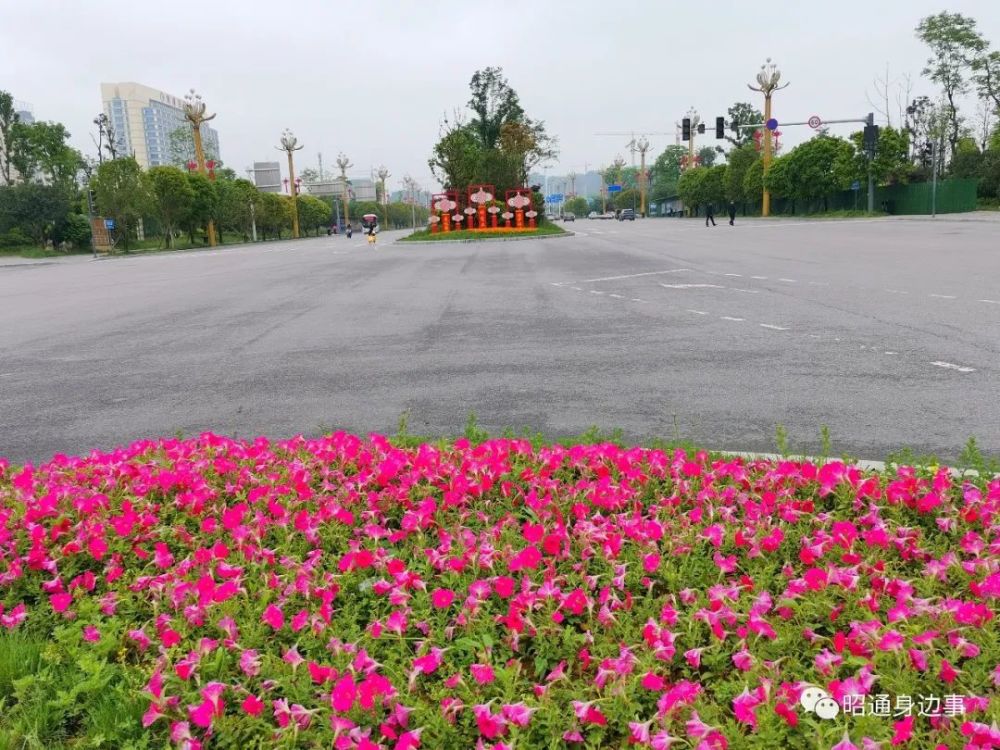 鎮(zhèn)雄南部新區(qū)最新動態(tài)，鄰里間的溫情故事展現(xiàn)溫情鄰里關系