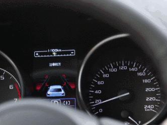 傲虎最新動(dòng)態(tài),傲虎的最新日常，溫馨之旅