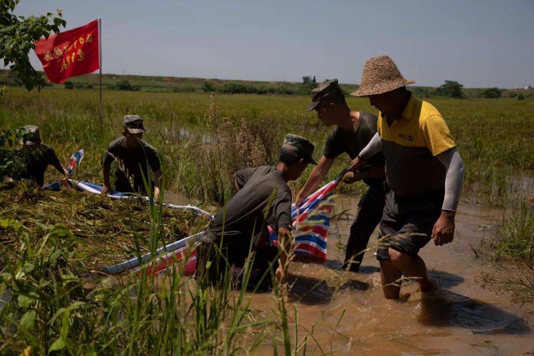 鄱陽饒埠鎮(zhèn)最新動(dòng)態(tài)，探訪與發(fā)展指南