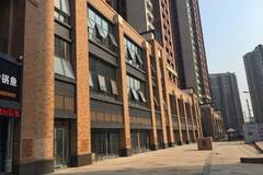 天地安最新，溫馨日常趣事分享