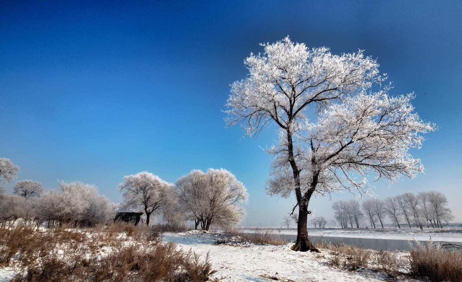 霧凇島最新旅游攻略，完成霧凇觀賞之旅的詳細步驟指南
