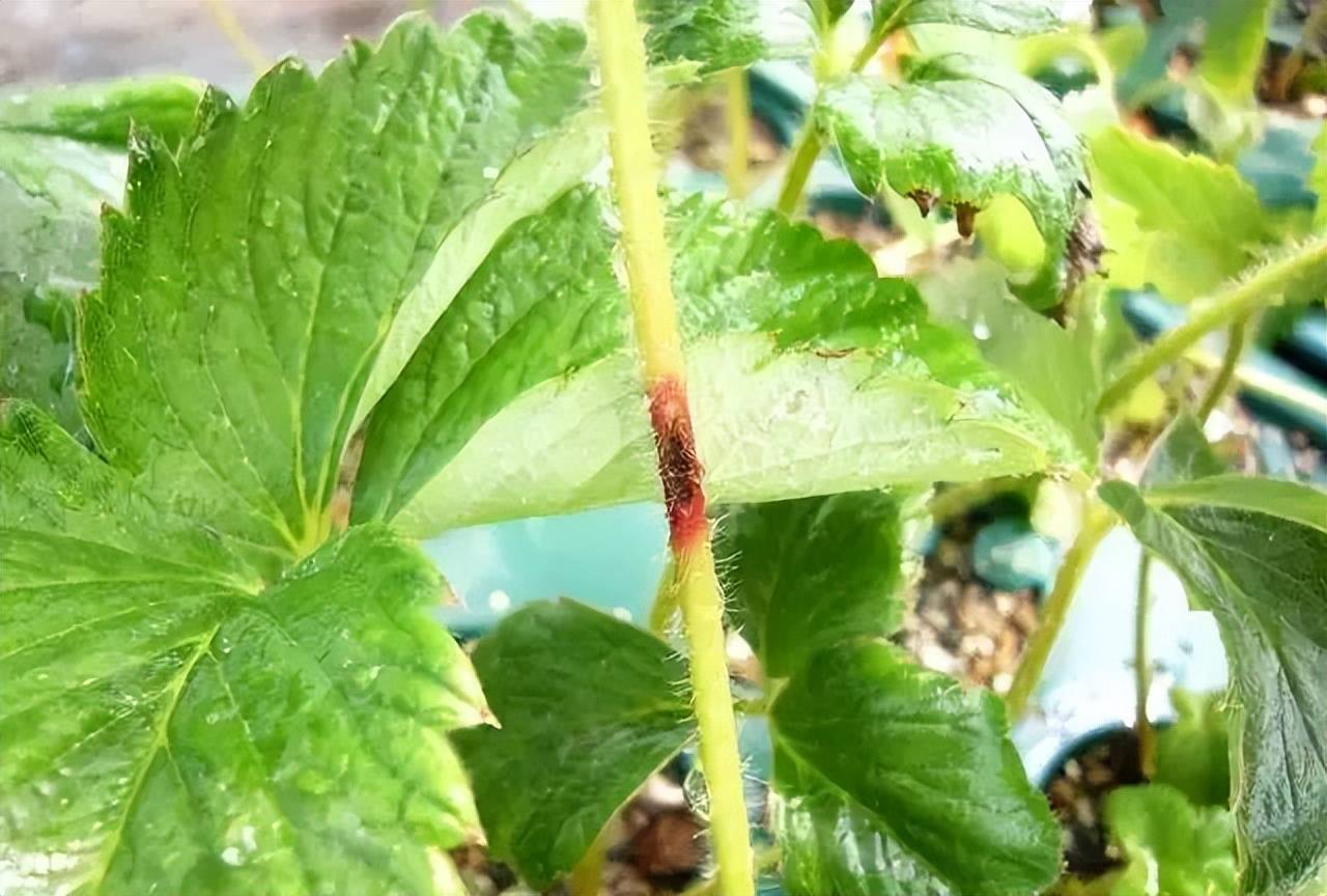 建筑材料（不含危險化學品） 第125頁