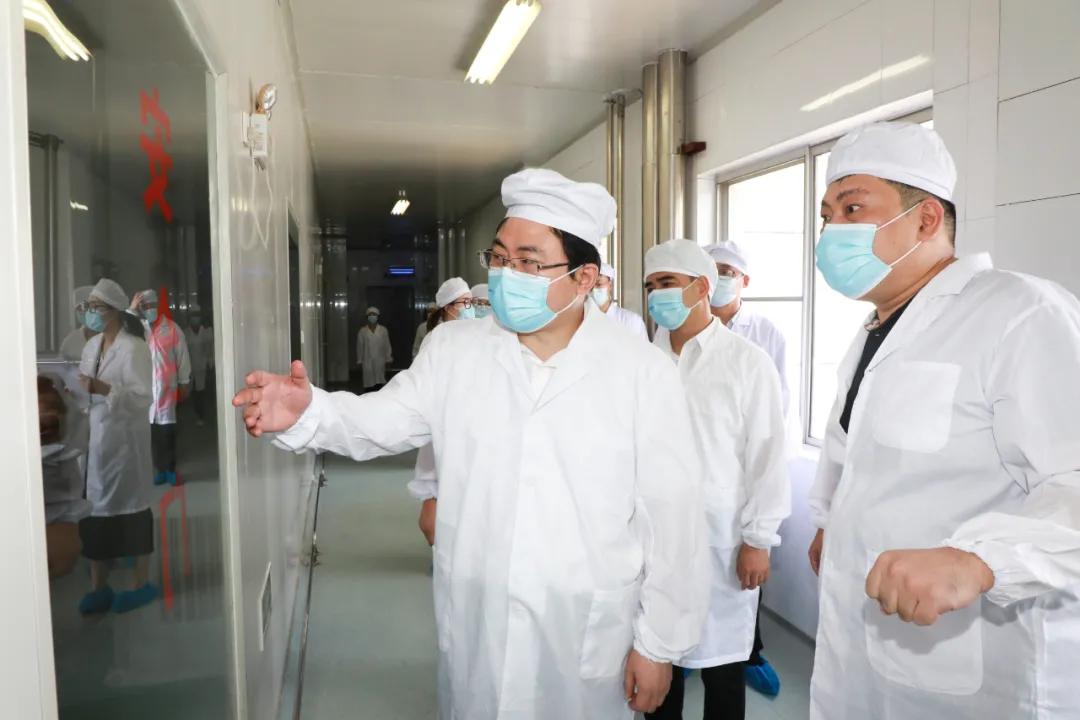 洛陽(yáng)最新疫情與科技防護(hù)重塑紀(jì)元