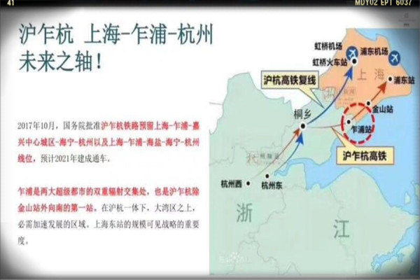 乍浦最新動態(tài)，最新消息匯總