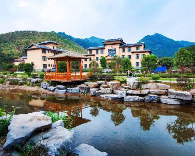 廣西蒙山高速最新動態(tài)，駛向自然美景，探尋內(nèi)心平靜的旅程