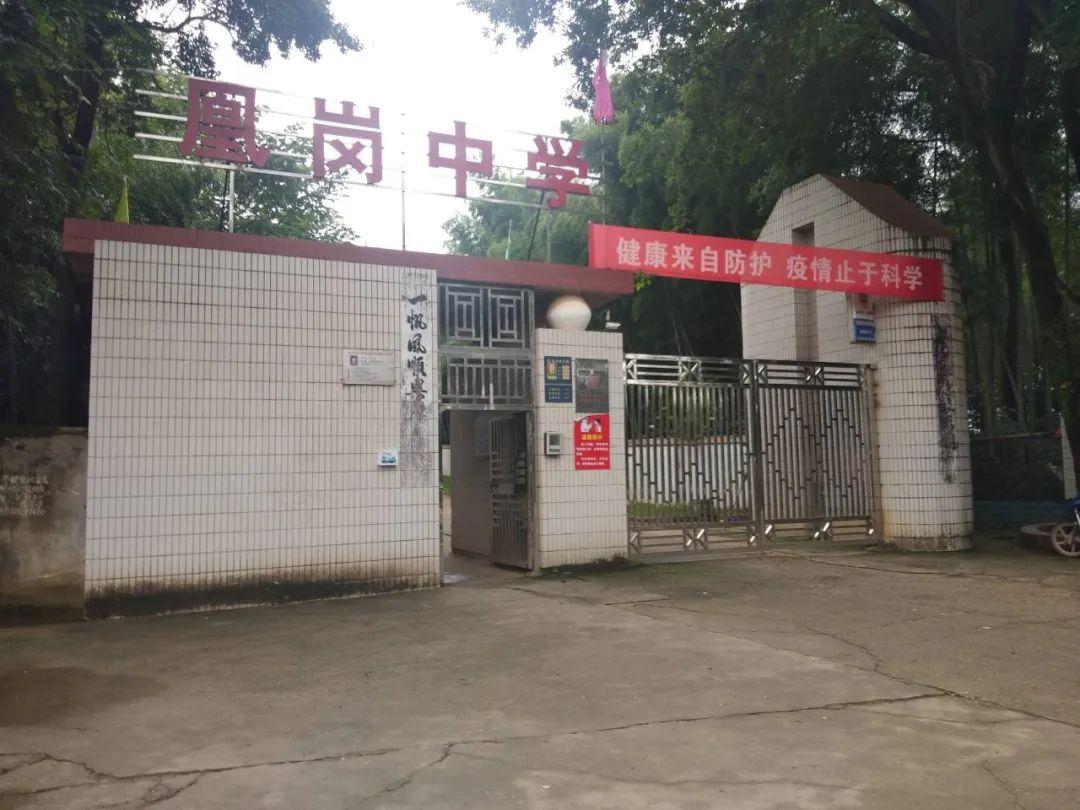 鄱陽凰崗自然美景探索之旅，追尋內(nèi)心平和的旅程最新消息