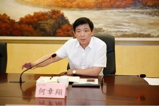 鎮(zhèn)江雷志強(qiáng)的最新任職，多維度視角下的深入探討
